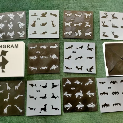 Bộ 90 mẫu TANGRAM kèm lời giải và hộp đựng thẻ