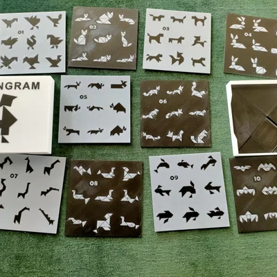 Bộ 90 mẫu TANGRAM kèm lời giải và hộp đựng thẻ