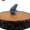 Giant Frog - Mô hình 3D thu nhỏ cho D&D cực chi tiết - Thumbnail 2