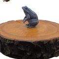 Giant Frog - Mô hình 3D thu nhỏ cho D&D cực chi tiết - Thumbnail 4