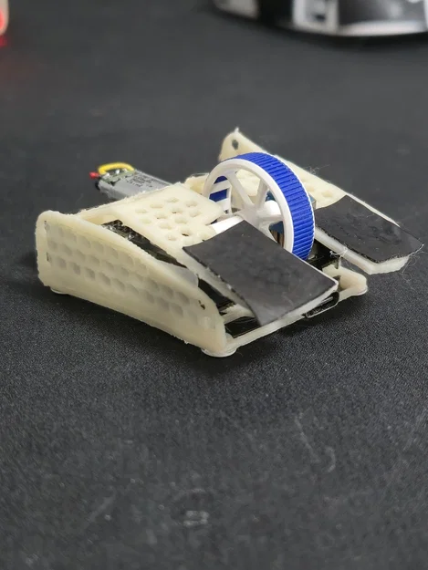 Shrew W2 (Chuột Fingertip Sora v2) - Image 3