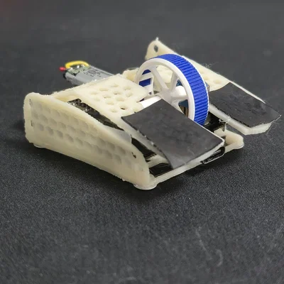 Shrew W2 (Chuột Fingertip Sora v2)