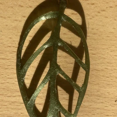 Bông tai hình lá Monstera Esqueleto