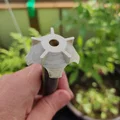 Water spreader 2 - Bộ chia nước cho tháp thủy canh xoay mô-đun - Thumbnail 2