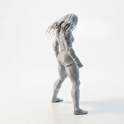 Mô hình nhân vật nữ Angry Lady 3D Printable