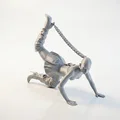 Mô hình nghệ thuật 3D: Nữ nghệ sĩ uốn dẻo - Thumbnail 1