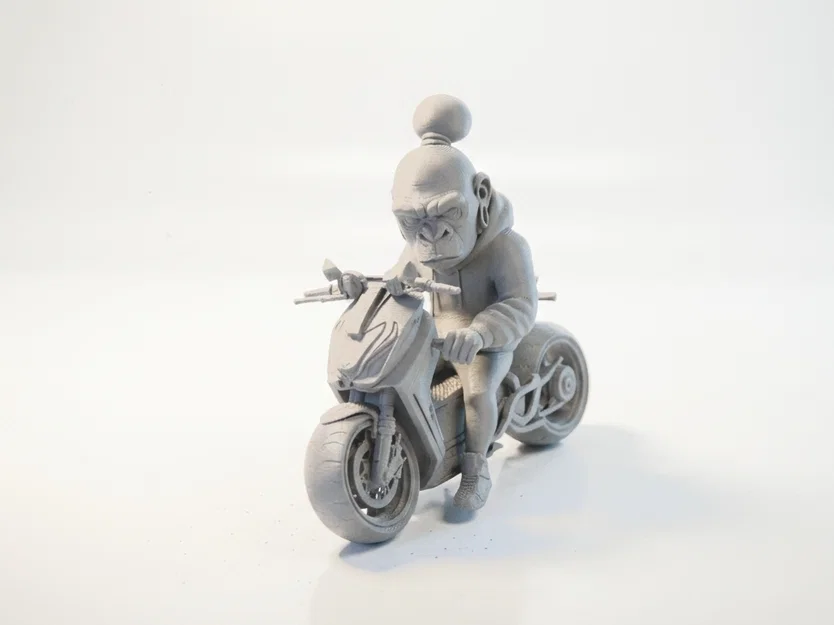 Mô hình Khỉ Lái Xe Mô Tô - Tượng 3D in ấn chi tiết - Image 1