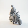 Mô hình Khỉ Lái Xe Mô Tô - Tượng 3D in ấn chi tiết - Thumbnail 2