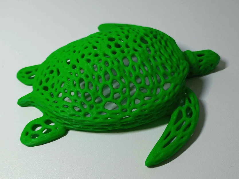 Mô hình rùa Voronoi - Image 2