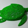 Mô hình rùa Voronoi - Thumbnail 2