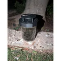 Bẫy Ruồi Dành Cho Hũ Thủy Tinh Mason Jar Miệng Rộng - Thumbnail 2