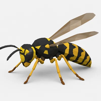 Mô hình ong bắp cày Low Poly - File in 3D độc đáo