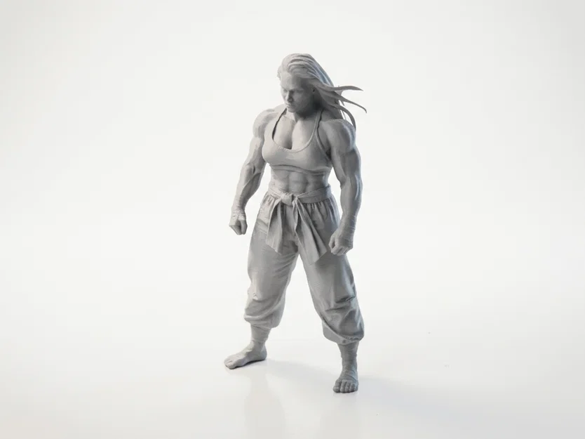 Mô hình nữ chiến binh siêu khỏe mạnh (Superstrong Lady Fighter) - File in 3D - Image 1