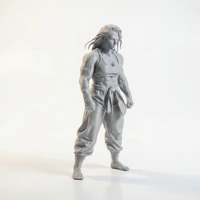 Mô hình nữ chiến binh siêu khỏe mạnh (Superstrong Lady Fighter) - File in 3D