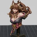 Mô hình tượng bán thân cô gái tai mèo (CatGirl Bust) cực chi tiết - Thumbnail 1