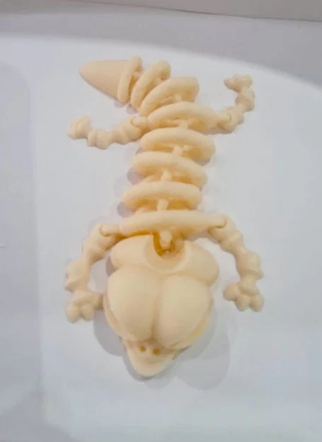 Mô hình xương thằn lằn (Esqueleto Lagarto) cử động linh hoạt - Image 2