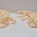 Mô hình xương thằn lằn (Esqueleto Lagarto) cử động linh hoạt - Thumbnail 3