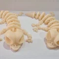 Mô hình xương thằn lằn (Esqueleto Lagarto) cử động linh hoạt - Thumbnail 5