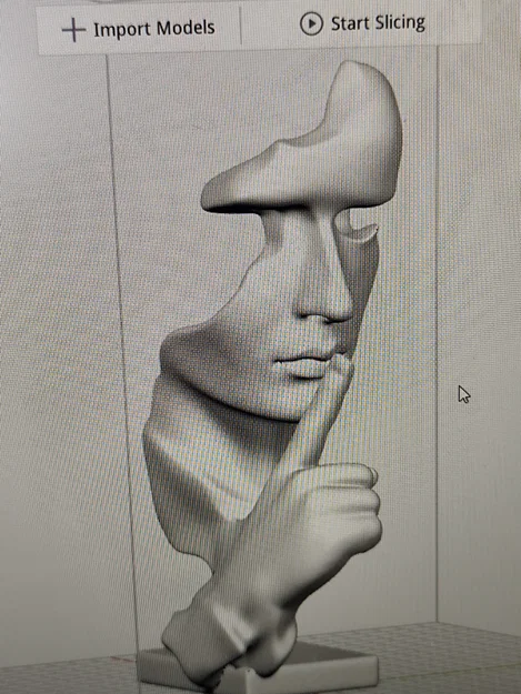 Tượng điêu khắc 3D mặt người nghệ thuật (Surreal Face Sculpture) - Image 1