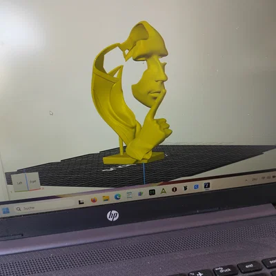 Tượng điêu khắc 3D mặt người nghệ thuật (Surreal Face Sculpture)