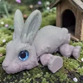 Bộ sưu tập mô hình đồ chơi khớp nối in 3D sáng tạo - Thumbnail 1