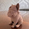 Chú chó French Bulldog đội mũ lưỡi trai - Thumbnail 2