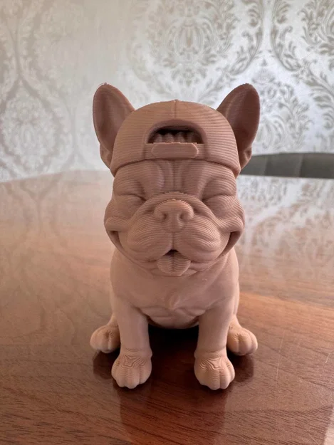 Chú chó French Bulldog đội mũ lưỡi trai - Image 3