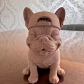 Chú chó French Bulldog đội mũ lưỡi trai - Thumbnail 3