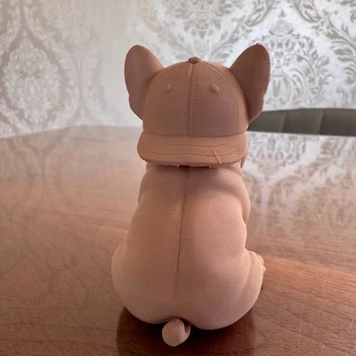 Chú chó French Bulldog đội mũ lưỡi trai