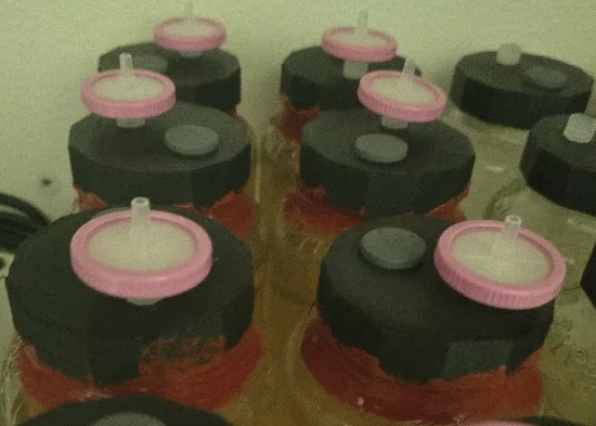 Nắp đậy hũ Liquid Culture (Parametric) cho Mason Jar - Image 1