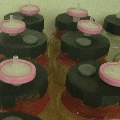 Nắp đậy hũ Liquid Culture (Parametric) cho Mason Jar