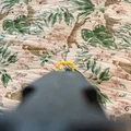 Tay kéo T-Pull cho Nerf Mirage - Thumbnail 2