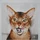 Merillan_3713737