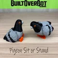 Mô hình chim bồ câu 3D linh hoạt (Pigeon Sit or Stand) đáng yêu - Thumbnail 3