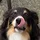Charles_308814
