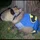 CubaLibreee_2869176