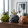 Bộ Ba Chậu Cây Hình Hổ Hiện Đại (Modern 3D Tiger Succulent Planter Trio) - Thumbnail 1