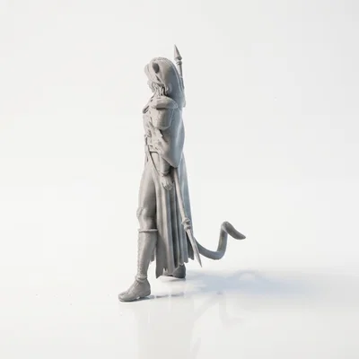 Mô hình Nữ Chiến Binh Wildcat Lady Warrior - File in 3D