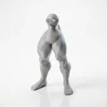 Mô hình Vịt cơ bắp độc đáo - Tượng 3D in nhựa STL - Thumbnail 1