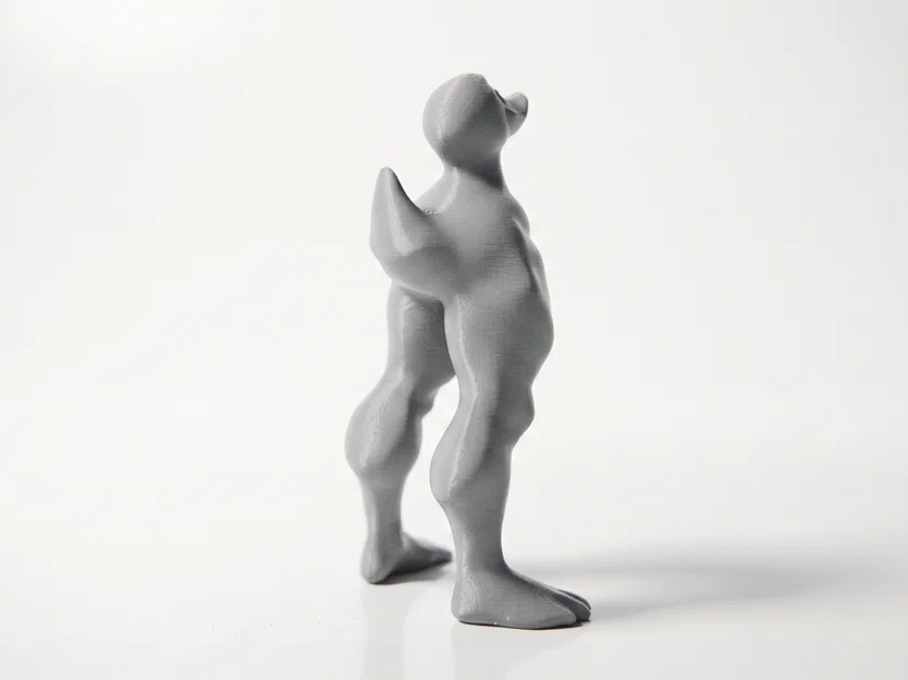 Mô hình Vịt cơ bắp độc đáo - Tượng 3D in nhựa STL - Image 3