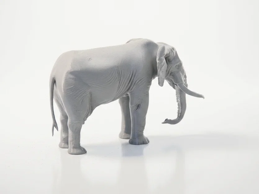 Mô hình tượng Voi 3D in ấn chất lượng cao - Image 3