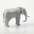 Mô hình tượng Voi 3D in ấn chất lượng cao - Thumbnail 3