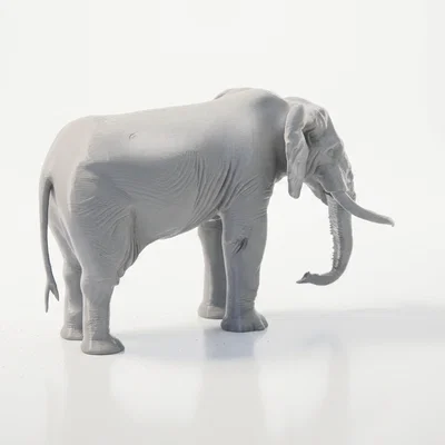Mô hình tượng Voi 3D in ấn chất lượng cao