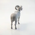 Mô Hình Tượng Cừu Đực In 3D Độc Đáo - Thumbnail 3