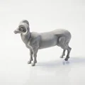 Mô Hình Tượng Cừu Đực In 3D Độc Đáo - Thumbnail 4