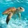 stthana_2624439