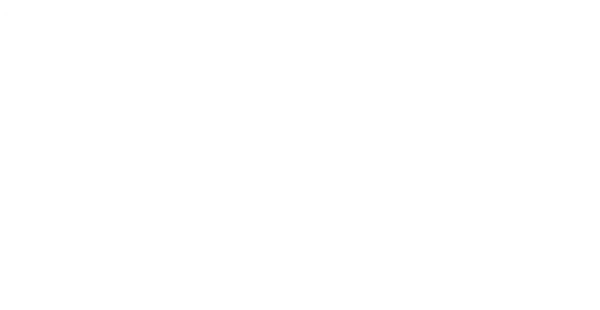 Khung biển số xe (License Plate Frame) - Image 4