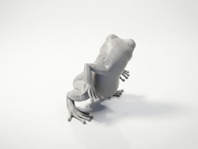 Mô hình ếch nhảy múa (Twerking Frog) in 3D độc đáo - Image 4