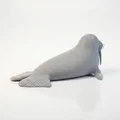 Mô hình Hải Mã 3D có thể in - Đồ trang trí sưu tầm độc đáo - Thumbnail 3