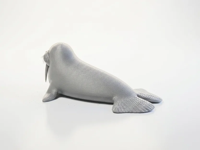Mô hình Hải Mã 3D có thể in - Đồ trang trí sưu tầm độc đáo - Image 4